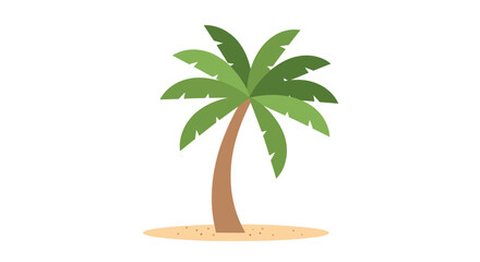 palm tree isolated on white