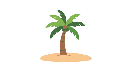 palm tree on white background