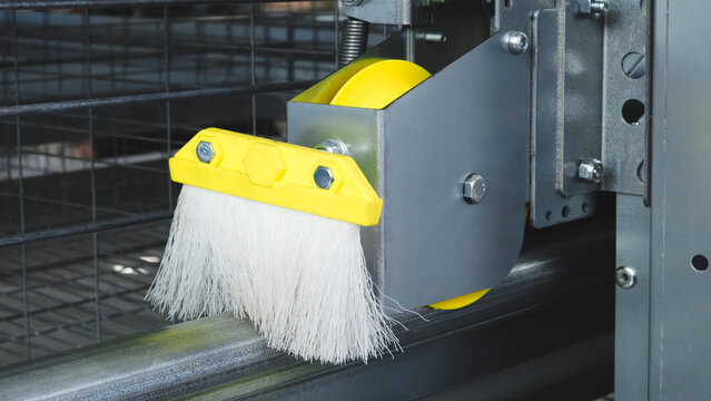 brush is fixed on industrial conveyor clean conveyor line during movement, modern poultry farm, industrial concept background