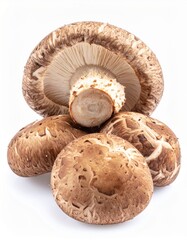 Shiitake-Pilze isoliert