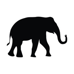 Obraz premium elephant silhouette vector