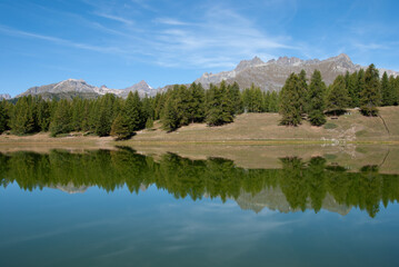 Fototapeta premium Calm alpine lake reflecting green pine forest and mountain peaks under a clear blue sky, peaceful natural landscape for travel and outdoor relaxation.