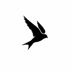 Obraz premium Silhouette of a swift bird in flight with wings spread wide.