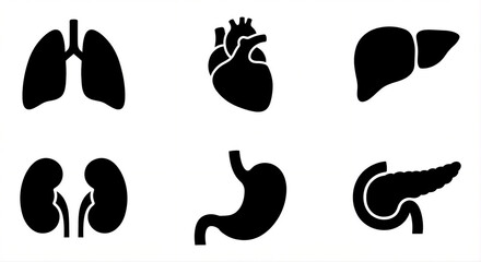 Collection of silhouette icons of human internal organs: lungs, heart, liver, kidneys, stomach and pancreas. Medical and anatomical symbols isolated on white background.
