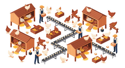 Fototapeta premium Isometric view of a chicken farm with hens, coops, eggs, and conveyor belts, illustrating the process of egg collection, sorting, and packaging in a modern setup.
