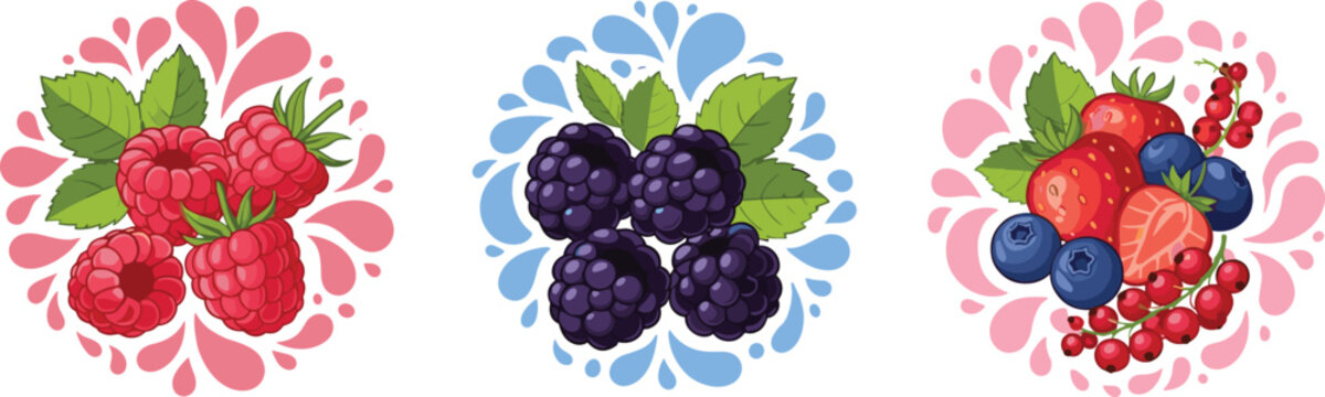 Raspberry, blackberry, mixed berries, splash background, fruit composition, colorful design, healthy food concept, nature freshness, flat vector illustration