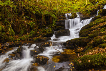 Obraz premium Cascadas en el bosque. Llegaron las primeras lluvias tras el verano y las cascadas del bosque cobran vida.
