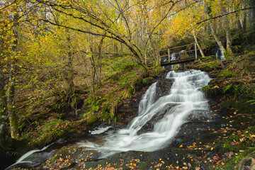 Cascadas en el bosque. Llegaron las primeras lluvias tras el verano y las cascadas del bosque cobran vida.