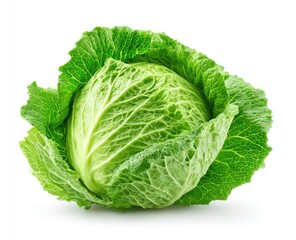 Fototapeta premium Fresh green cabbage head isolated on a white background healthy eating