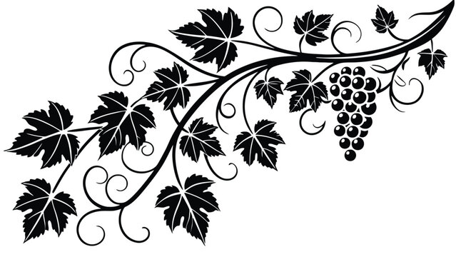 A black and white illustration of a grapevine with leaves and grapes