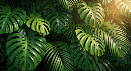 Lush Tropical Rainforest Leaves with Sunlight