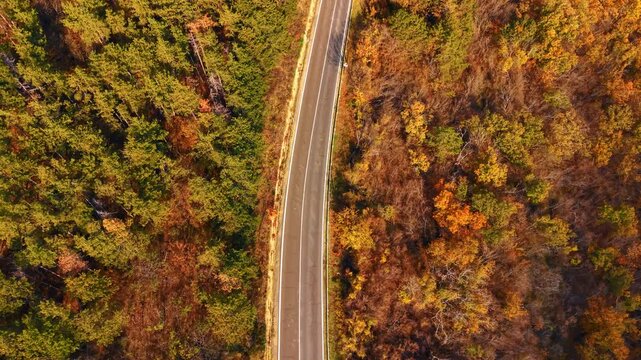 Road through the forest during autumn with colorful leaves changing. A view from above shows a winding road cutting through a forest filled with trees