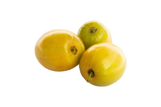 Ziziphus mauritiana indian jujube green ber apple fruits isolated on white three Indian plum