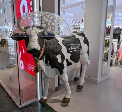 Figura de vaca con paraguas en la cabeza, en la entrada de tienda de regalos Ale-Hop en Madrid, Espa&ntilde;a, 16 de enero de 2026