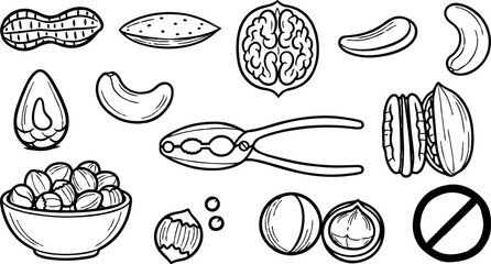 Black and white line art illustration showing various nuts and seeds with nutcracker tool and bowl close up detailed style