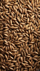 Obraz premium Top-Down Flat-Lay of Wet Barley with Even Lighting for UI Backgrounds