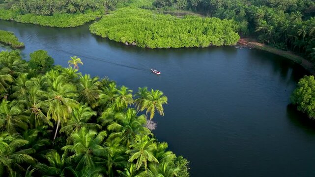 Drone shot of vibrant green mangroves with small fishing boats along serene backwaters, capturing tropical wetlands, traditional coastal livelihood, calm waters, and natural beauty of India&rsquo;s coastal 