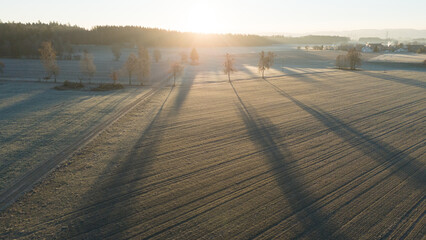 Frosty Agricultural Fields at Sunrise