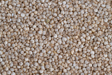 Fototapeta premium Bulk white quinoa seeds spread densely across surface, visual for manufacturer and quality control, large scale ingredient storage, neutral studio lighting, tactile pile detail