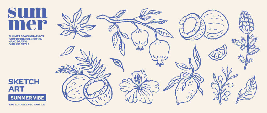 Fruit doodle set with coconut, lemon, pomegranate, orange, hibiscus flower, artichoke, olive. Line hand drawn pattern. Brush chalk drawing. Outline vector northeast icon. Sketch vintage tropical bg