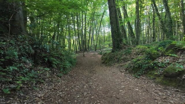 Exploring the enchanting paths of La Fageda d'en Jorda
