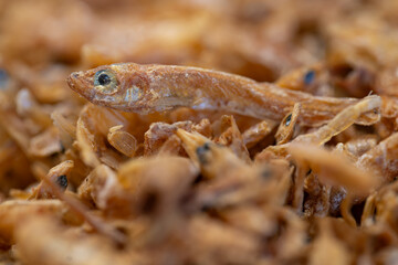 Dry food for larger fish and turtles in a detailed close‑up.