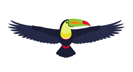 Fototapeta premium Illustration of a Toucan Bird in Flight with Vibrant Beak and Outstretched Wings against a Clean Background from a Front Viewpoint