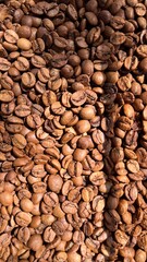 Coffee Beans Background Texture - Fundo de textura de gr&atilde;os de caf&eacute;