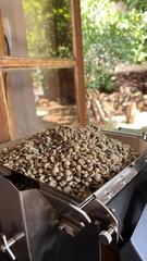 Coffee Beans Background Texture - Fundo de textura de gr&atilde;os de caf&eacute;