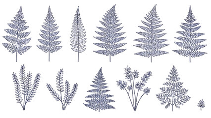 Obraz premium Collection of various foliage illustrations including ferns and leaves in a monochrome blue tone, arranged in a grid pattern on a white background, viewed from directly above.
