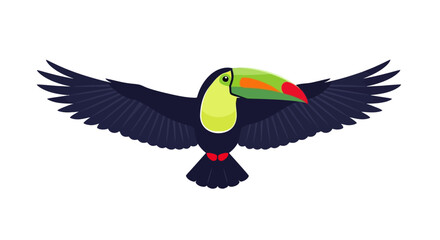 Fototapeta premium A colorful toucan in flight, showcasing its vibrant beak and wings, in a simple, white background illustration style