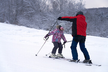 A ski instructor gives a private lesson to a child on a ski slope against the picturesque backdrop of snow-covered trees.