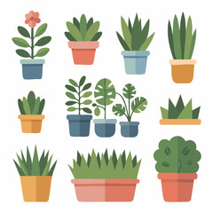 A variety of potted plants with different leaves and colors, presented in a clean, flat design style against a white background