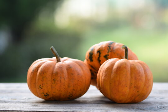 Sweetie Pie pumpkins on old wooden background, autumn background with pumpkins, selective focus, blurred background.