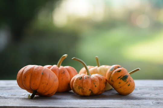 Orange pumpkins Sweetie Pie on old wooden background, autumn background with pumpkins, selective focus, blurred background.