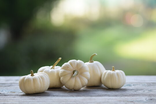 Small pumpkins Baby Boo on wooden table, bokeh background, autumn background with pumpkins, selective focus, blurred background, space for text.