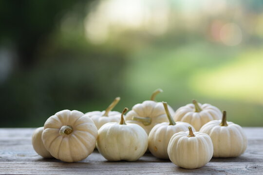 Pumpkins Baby Boo on wooden table, bokeh background, autumn background with pumpkins, selective focus, blurred background, space for text.