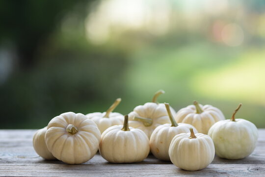 Baby Boo pumpkins on wooden table, bokeh background, autumn background with pumpkins, selective focus, blurred background, space for text.