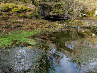 Entrada de cueva natural oscura con manantial de agua tranquila y rocas cubiertas de musgo en el bosque.