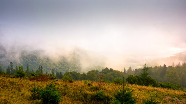mountain outdoor with overcast morning in autumn. foggy nature background in highlands of ukraine. dramatic weather