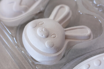 White rabbit is sitting in a plastic container. The container is clear and has a lid.