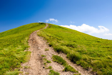 Naklejka premium mountain trail to the top of the summit. summer travel landscape under deep blue sky with fluffy clouds. sunny weather. borzhava ridge of transcarpathia, ukraine