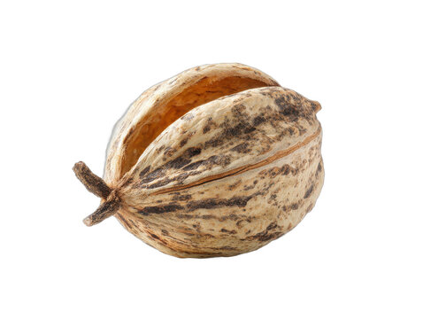 hafer isolated on a transparent 