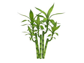A vibrant cluster of stylized bamboo stalks and leaves on transparent background