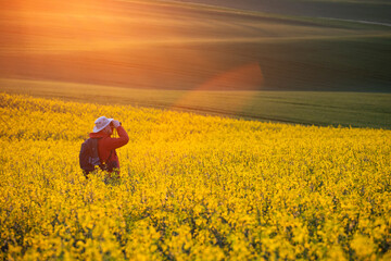 Fototapeta premium Gorgeous rural landscape with green sunny spring hills. South Moravia region, Czech Republic
