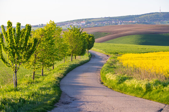 Gorgeous rural landscape with road and green sunny spring hills. South Moravia region, Czech Republic