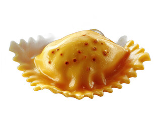 Obraz premium ravioli isolated on a transparent 