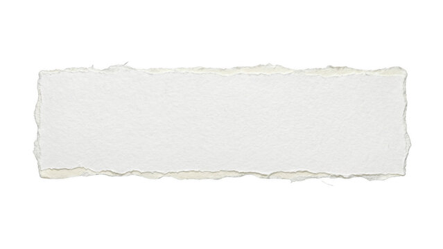 Rectangular white paper swatch with uneven torn edges