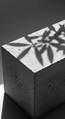 Geometric Concrete Product Riser with Hard Botanical Shadows
