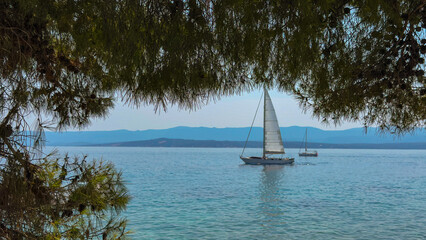 A sailboat and a small boat against the background of the sea and trees
